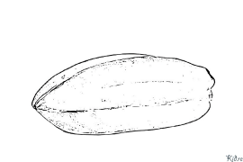 carom Leathanaigh Dathúcháin Inphriontáilte